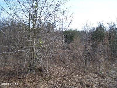 Tbd Bennett Road, Ellerbe, NC, 28338