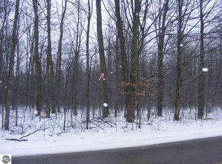 8819 W 30th Rd, Harrietta, MI 49638