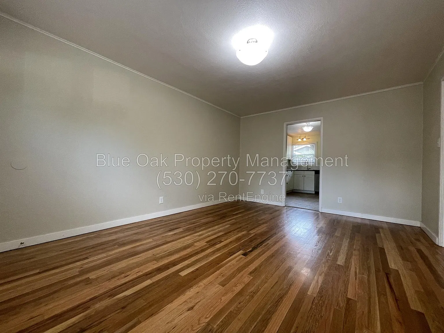 2 bed, 1.0 bath, 800 sqft, $1,500 — Photo 2
