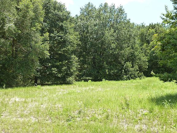 2nd image of 170 Ashley Lake Dr