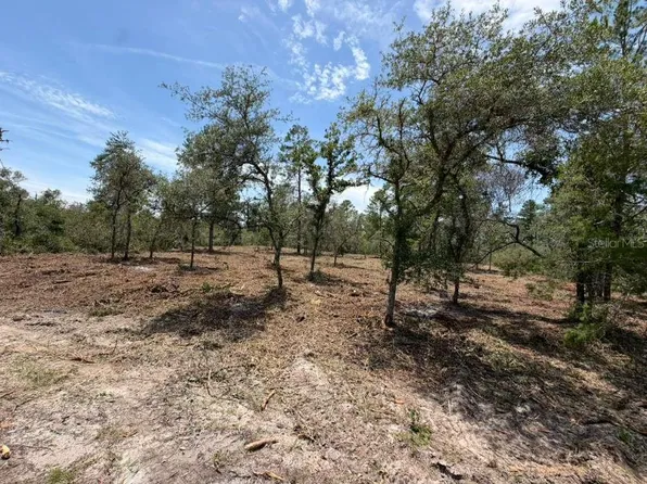 Fisher Way Trak Lot 28, Ocklawaha, FL 32179