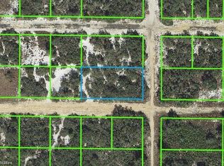 2818 W Orillia Rd, Avon Park, FL 33825