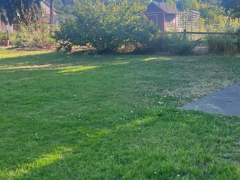 Parks just across the street.