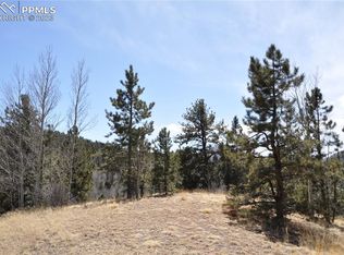 571 Vivenda Rd, Cripple Creek, CO 80813