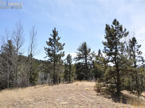 571 Vivenda Rd, Cripple Creek, CO 80813