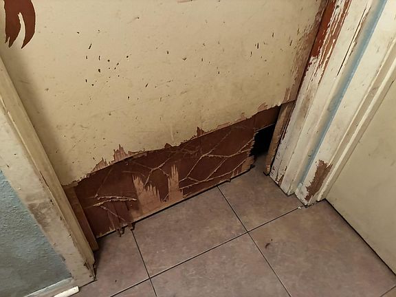 5th image of 10681 Hurst Dr