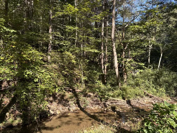 0 N Clear Fork Rd #1, Sevierville, TN 37862
