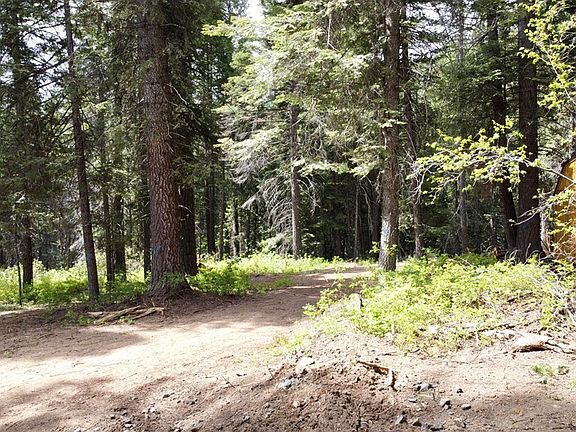 5th image of 1777 Finch Trail