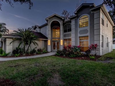 9311 Heritage Oak Ct, Tampa, FL, 33647