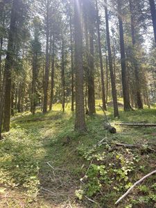 1300 Shore Dr, Cascade, ID, 83611