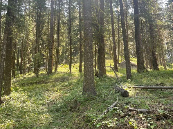 1300 Shore Dr, Cascade, ID 83611