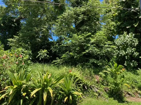 Opihi St Lot 4, Pahoa, HI 96778