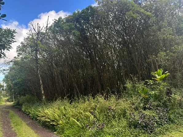 12-559 Hawaii St Lot 115, Pahoa, HI 96778