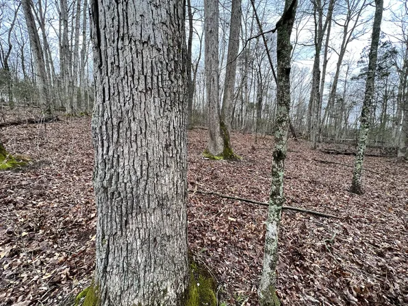 1 Little Rock Rd, Irvine, KY 40336