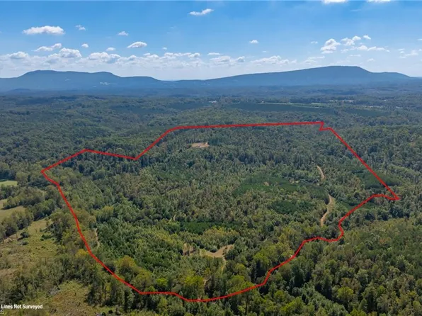 0 Wright Rd, Westfield, NC 27053
