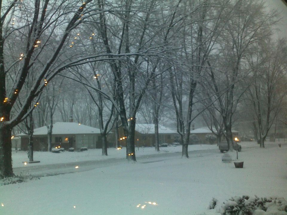 View from front window