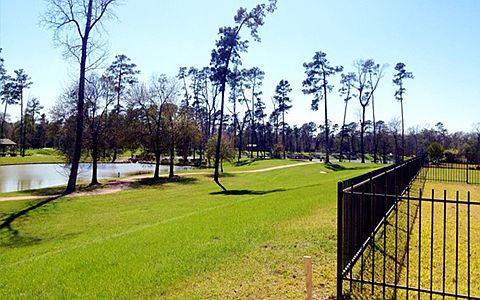 619 Santa Elena Canyon