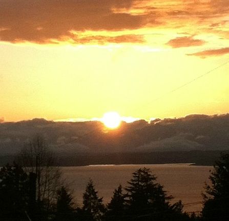 Comfortable family room with 2nd fireplace. Two windows always light up the room.