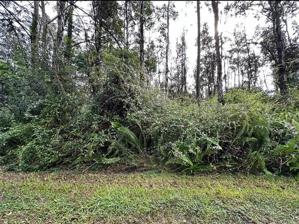 14-881 Flower Rd Lot 401, Pahoa, HI 96778