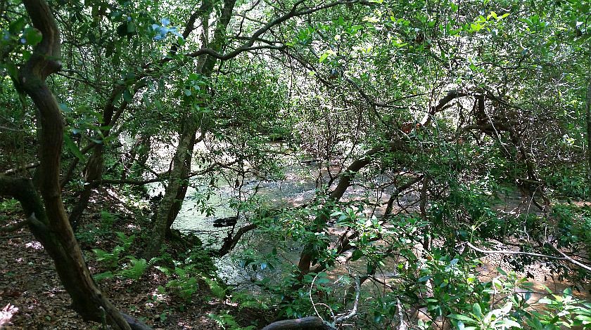 2nd image of Opossum Rd