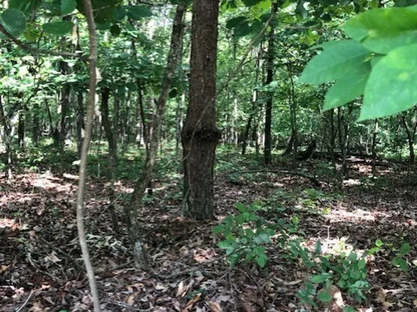 LOT 1 Daniel Rd, Demorest, GA 30535