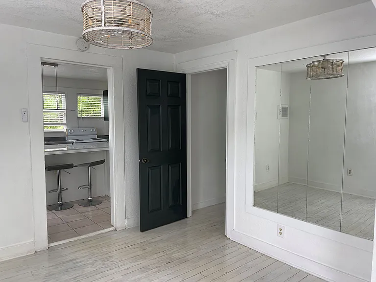 Dining room - kitchen entrance