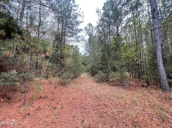 0 Kellis Store Rd, De Kalb, MS 39328