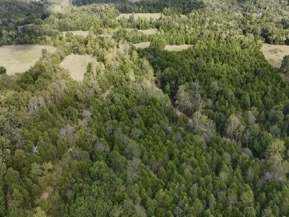 Highway 289 N, Ash Flat, AR 72513