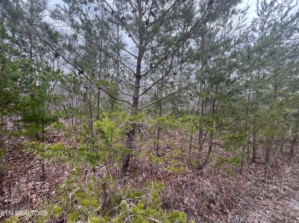 0 Maple Ln, Pikeville, TN 37367