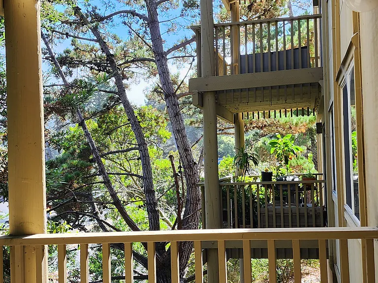 Mandarin Dr — Photo 10