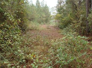 281 John Perry McMichael Rd, Waynesboro, MS 39367