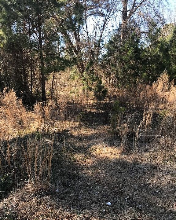 2nd image of Wilmington Hwy