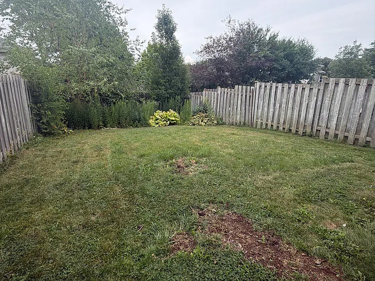 1138 Limberlost Rd — Photo 8