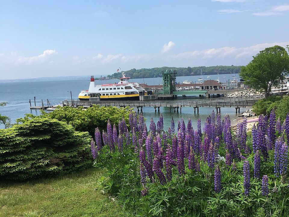 Front yard view!