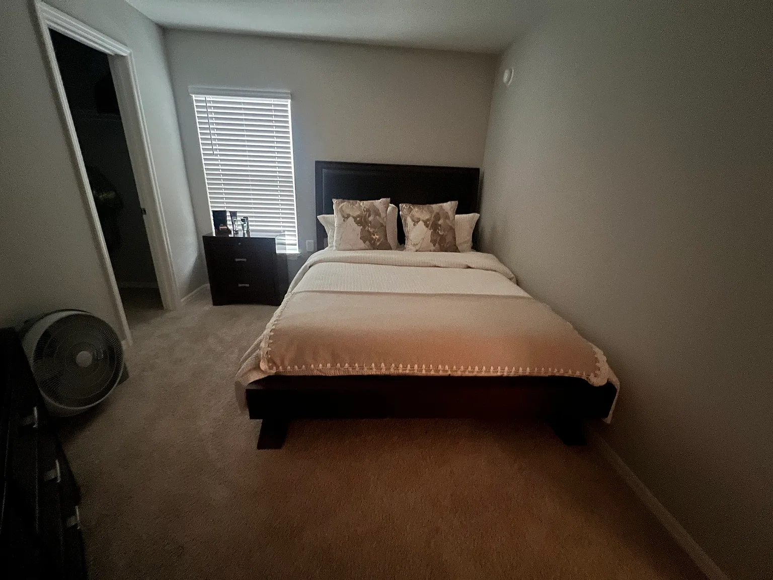 Maddie Dr, Haines City — Photo 2