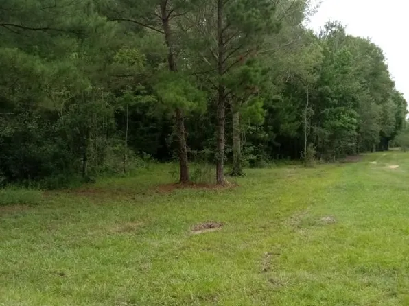 Nhn Compton Ranch Rd, Poplarville, MS 39470