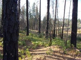 11197 Pine Summit Dr, Cobb, CA 95426