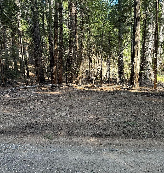 1st image of Caine Rd