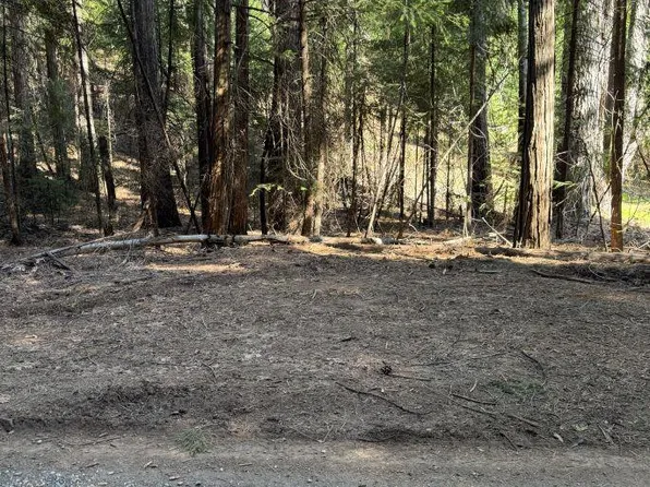 Caine Rd, Alta, CA 95701