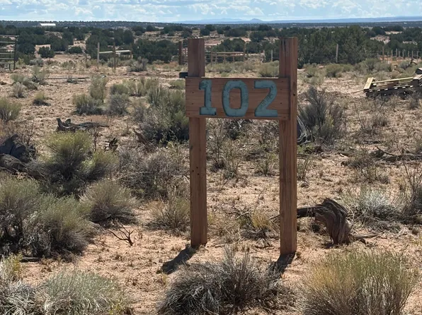 102 County Road 6287 N, Saint Johns, AZ 85936