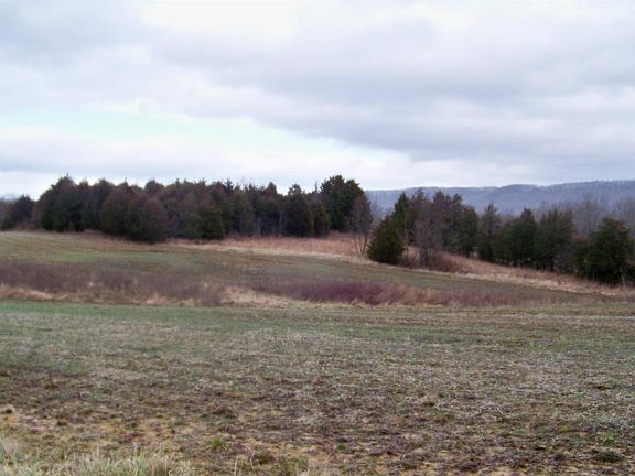 5th image of 753 Hamilton Ln