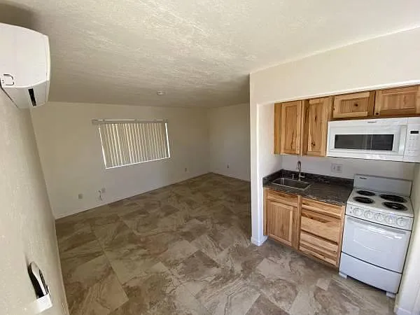 Studio, 700 sqft, $695 — Photo 2