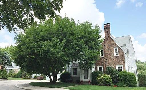 2nd image of 411 Pond St