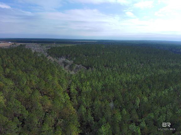 3rd image of 0 Griggers Rd