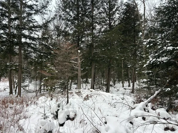 22 Cth G, Pelican Lake, WI 54463