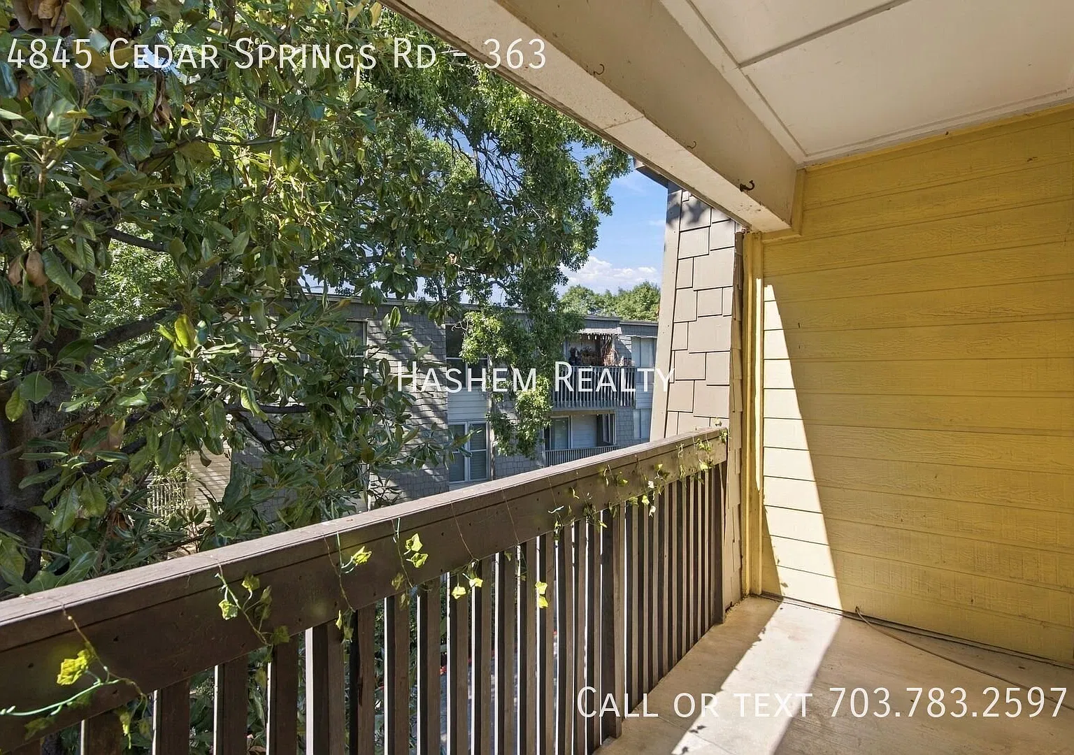 Welcome Home 4845 Cedar Springs. Available Now. — Photo 2