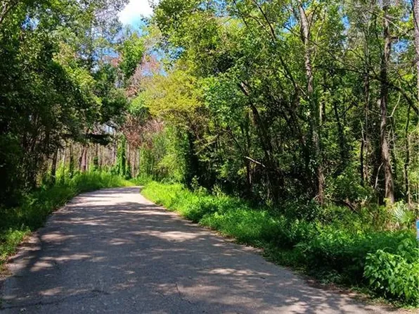 Louise St, Denham Springs, LA 70726