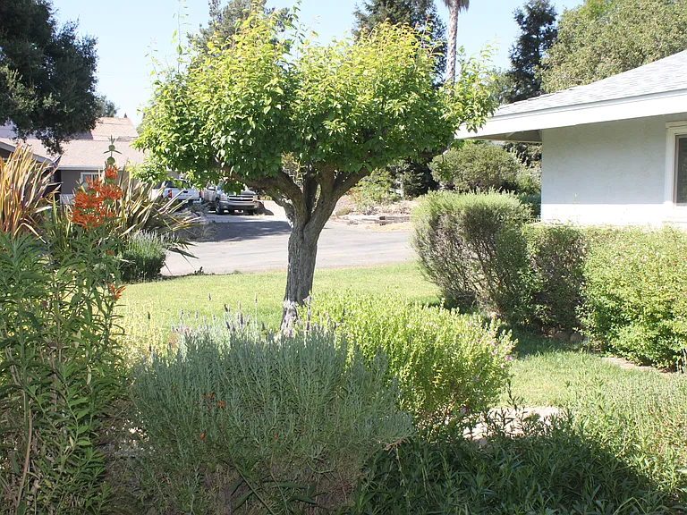 3610 Cerrito St — Photo 75