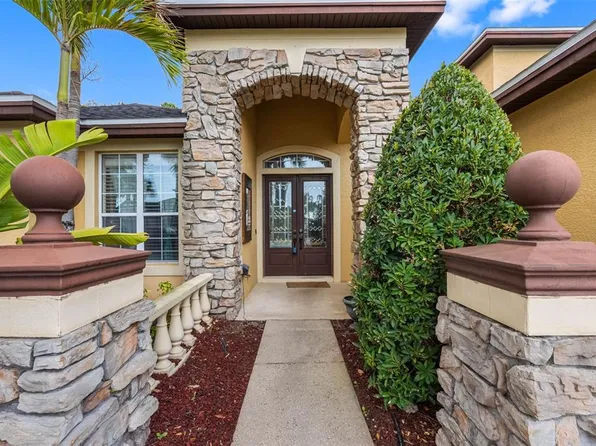 16750 Ivy Lake Dr, Odessa, FL 33556