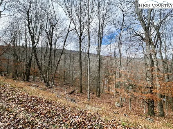 121 Shagbark Road, Banner Elk, NC 28604